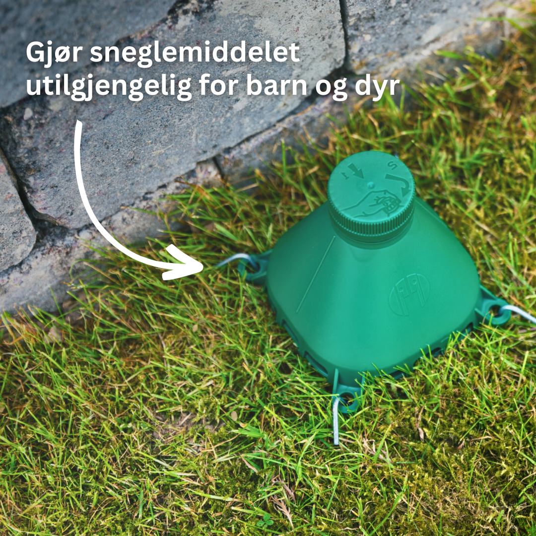 Sneglefellen